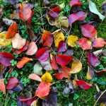 „Ich kann es dir eh nicht recht machen…“ – Diese Aussage verrät mehr über uns, als wir denken