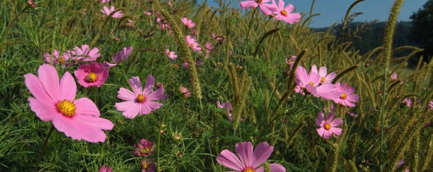 Urlaub – gemeinsam die Seele baumeln lassen