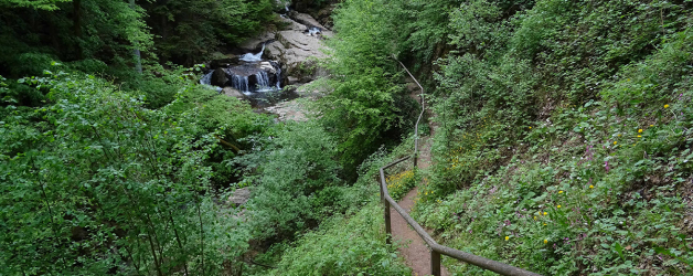 Zeit für ein sommerliches  Abenteuer mit Deiner liebsten Person?