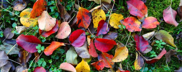 „Ich kann es dir eh nicht recht machen…“ – Diese Aussage verrät mehr über uns, als wir denken